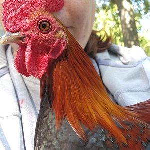 Meet your Posher, John